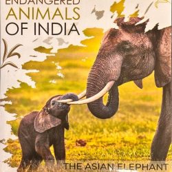 ENDANGERED ANIMALS OF INDIA - THE ASIAN ELEPHANT (COLOR SOUVENIR COIN)